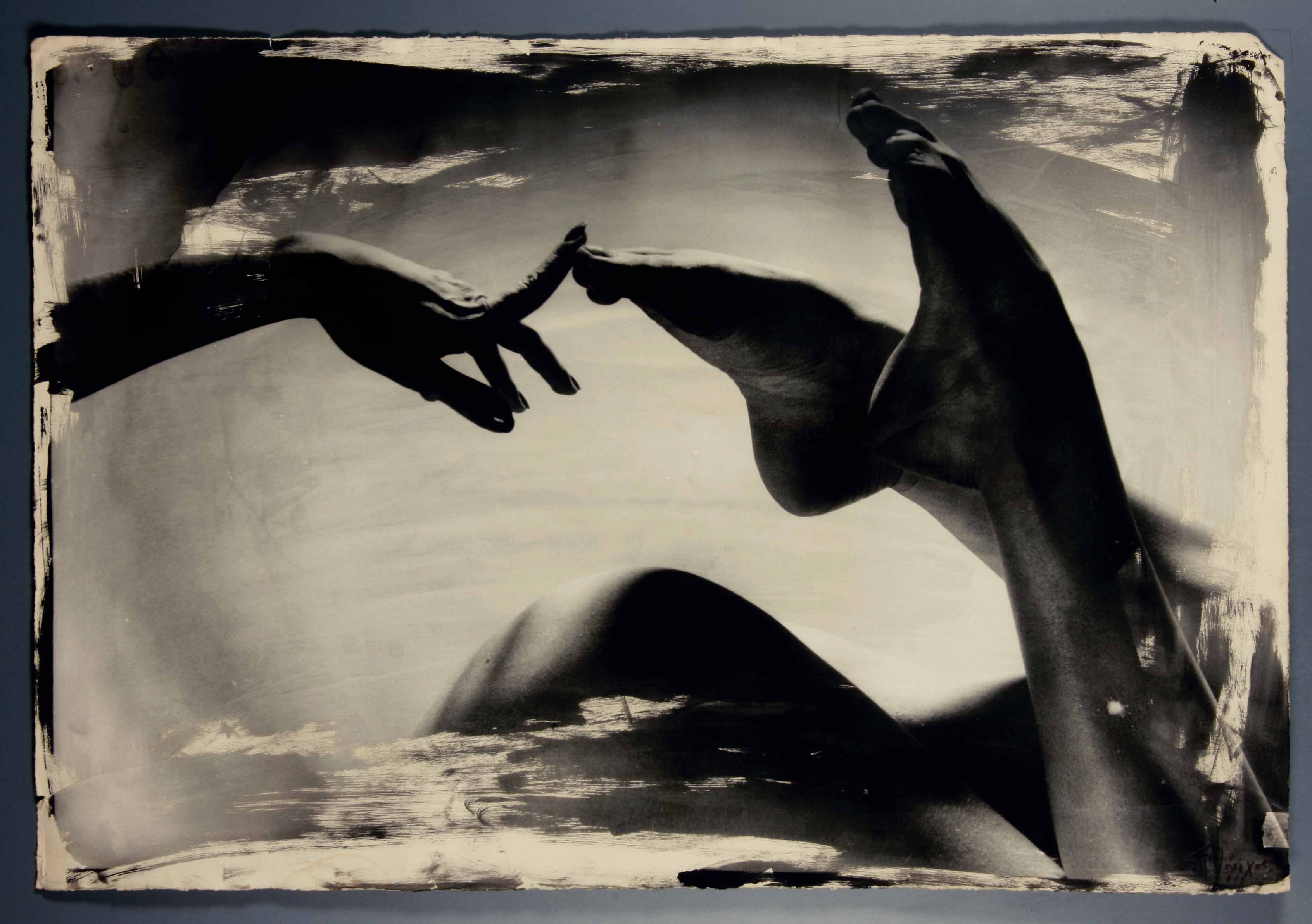 Corpo Umano Corpo Umano