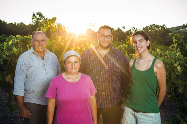 Θοδωρής Κοντογιάννης - Kontogiannis Family, κρασί, λάδι, σταφίδα, πετιμέζι