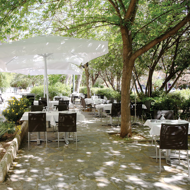 Βλάσσης Βλάσσης