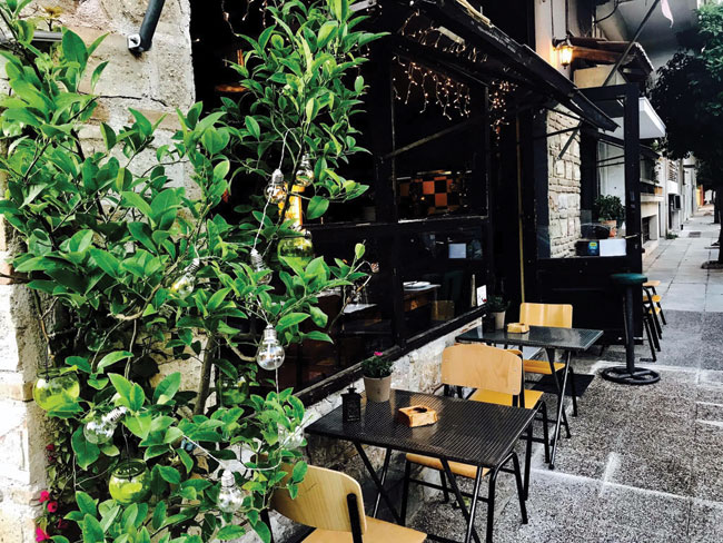 Mandragoras Mandragoras