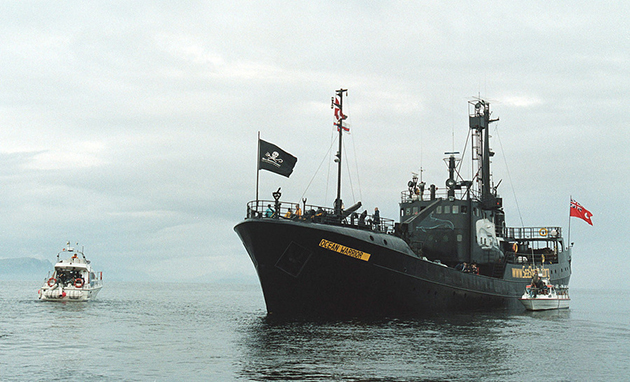 Φαλαινοθηρικά