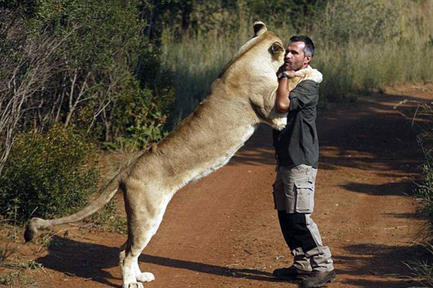 γητευτής λιονταριών