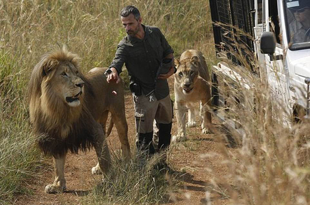 γητευτής λιονταριών