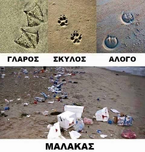 Τα YOLO της Πέμπτης