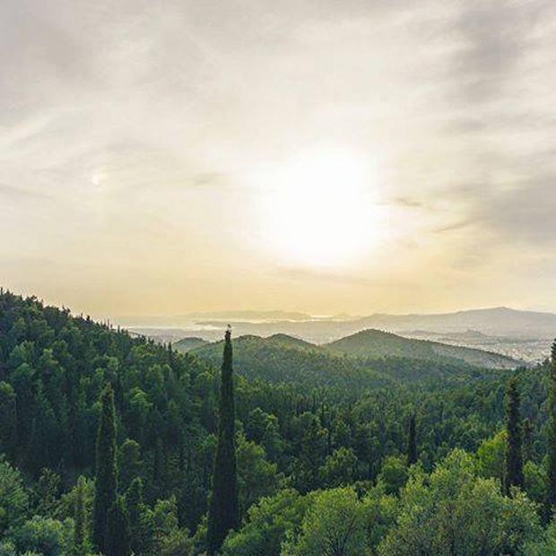 Μάθημα φωτογραφίας στη φύση