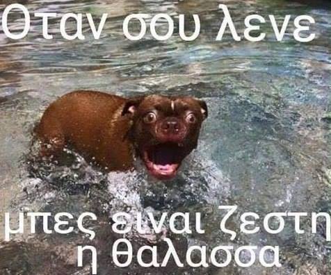 Τα YOLO της Παρασκευής Τα YOLO της Παρασκευής