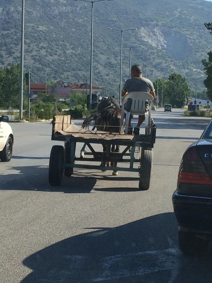 Τα YOLO της Παρασκευής Τα YOLO της Παρασκευής