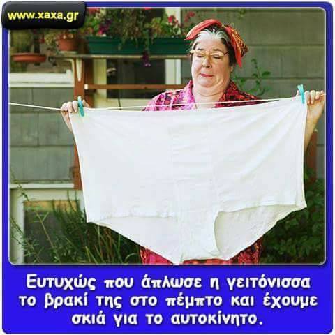 Τα YOLO της Τετάρτης Τα YOLO της Τετάρτης