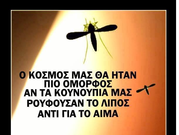 Τα YOLO της Παρασκευής