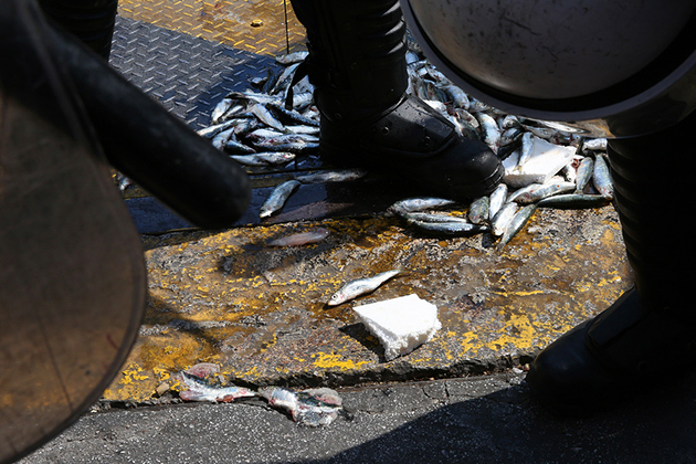 ΠΑΜΕ - ΒΟΥΛΗ - ΔΙΑΜΑΡΤΥΡΙΑ