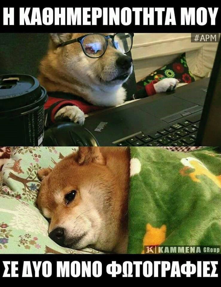 Τα YOLO του Σαββάτου