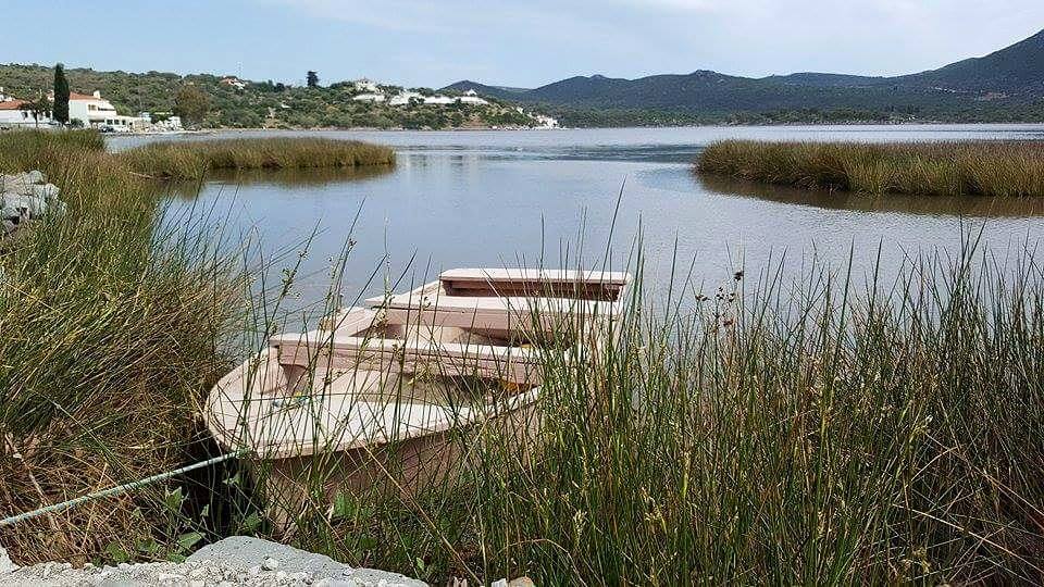 © Dimitra Tzaka / Γέρακας Λακωνίας