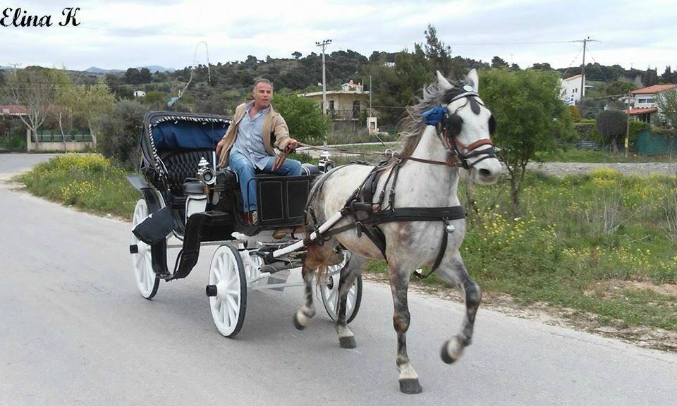 © Ελινα Καφανταρη