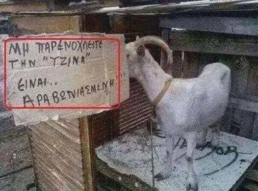 Τα YOLO της Δευτέρας