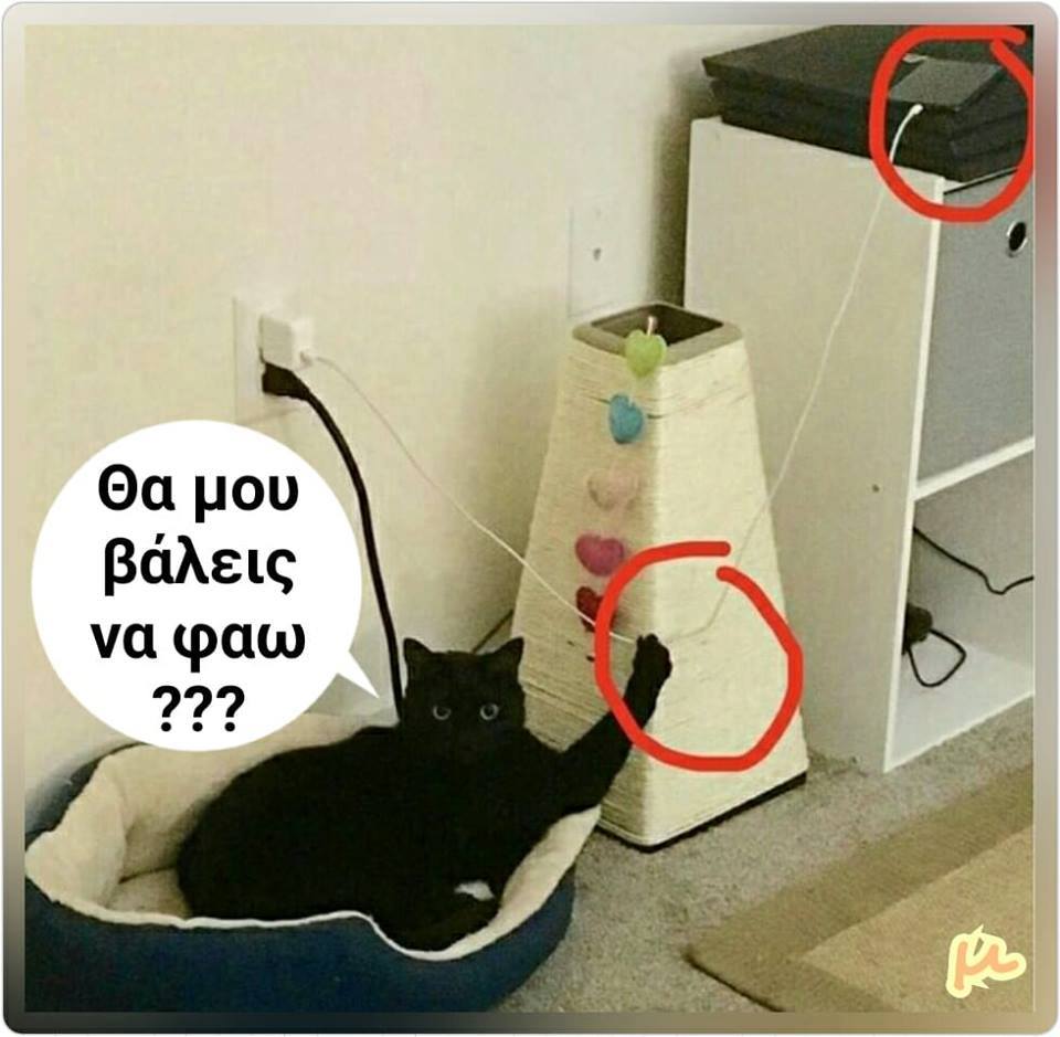 Τα YOLO της Δευτέρας