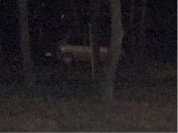 Παρκαρισμένα οχήματα μέσα στα παρτέρια