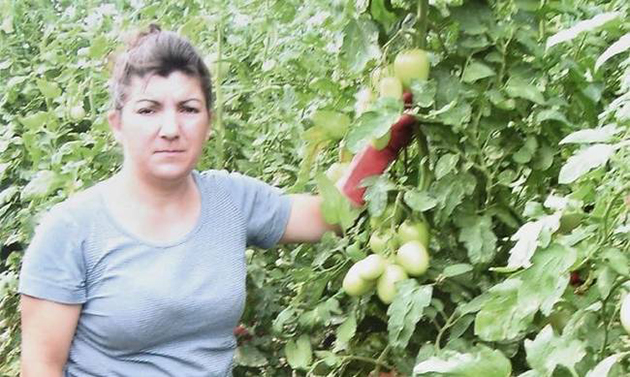 Ελένη Βαλέλη Ελένη Βαλέλη