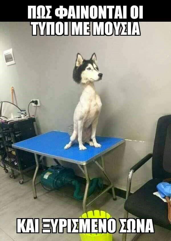 Τα YOLO της Κυριακής