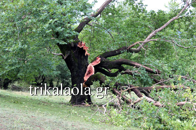 Ανεμοστρόβιλος σάρωσε τη φύση των Τρικάλων