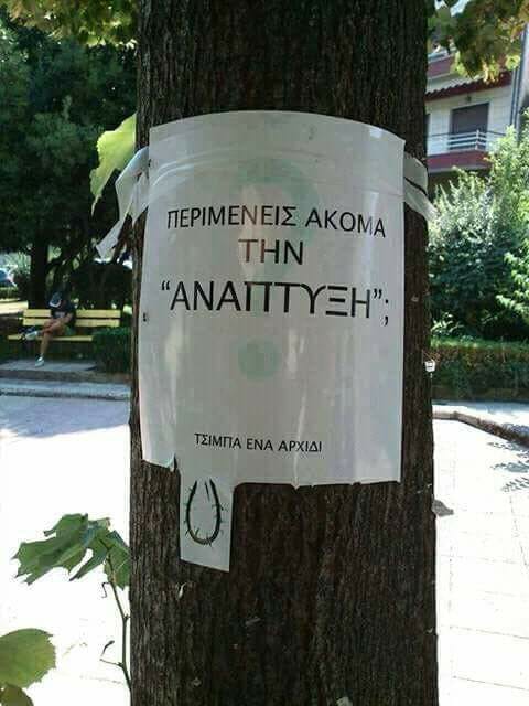 Τα YOLO της Πέμπτης