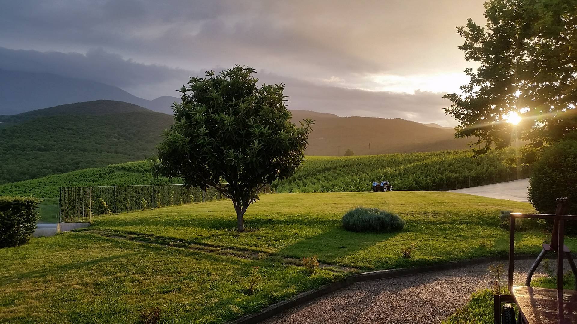 © Katerina Balkaba / Κτήμα Κυρ-Γιάννη, Γιαννακοχώρι, Νάουσα Ημαθίας © Katerina Balkaba / Κτήμα Κυρ-Γιάννη, Γιαννακοχώρι, Νάουσα Ημαθίας