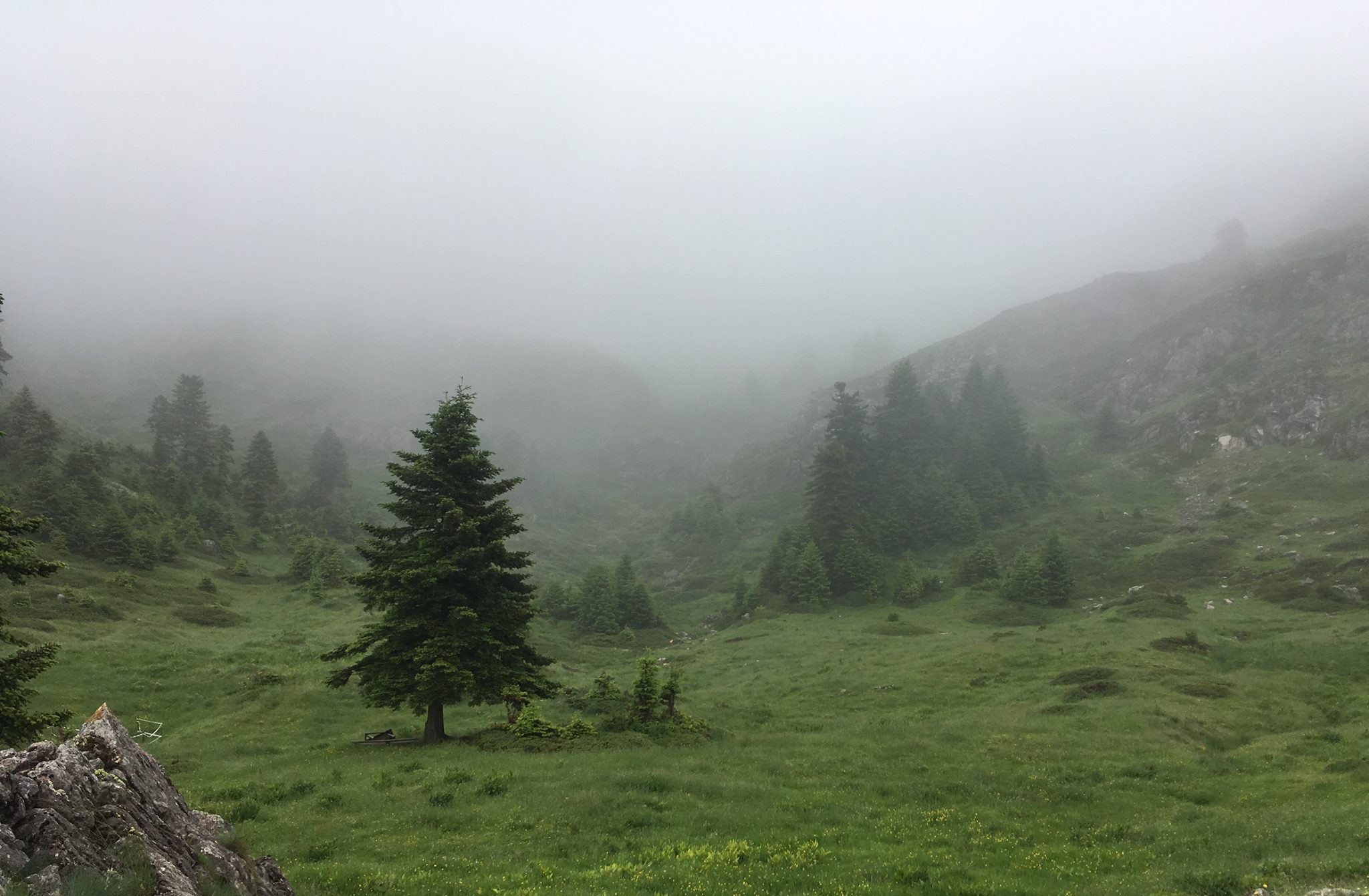 Καταφύγιο Κόζιακα / © Vaggelis kalinteris Καταφύγιο Κόζιακα / © Vaggelis kalinteris