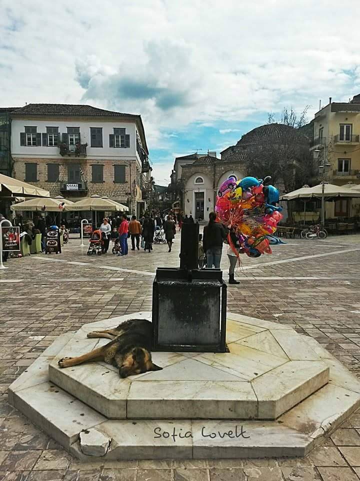 © Sofia Vasilopoulou / Ναύπλιο © Sofia Vasilopoulou / Ναύπλιο