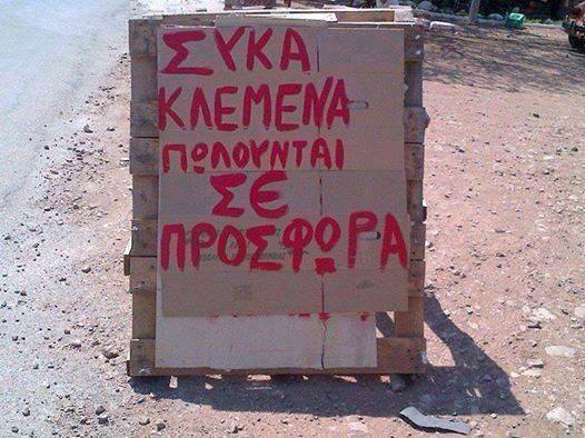 Τα YOLO της Πέμπτης