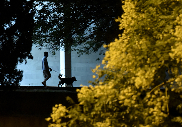 ΒΟΛΤΑ ΜΕ ΤΟΝ ΣΚΥΛΟ ΣΤΗΝ ΔΡΟΣΙΑ ΤΗΣ ΝΥΧΤΑΣ (EUROKINISSI/ΤΑΤΙΑΝΑ ΜΠΟΛΑΡΗ)