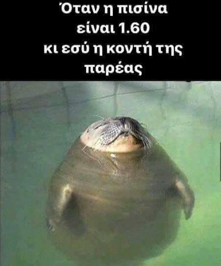 Τα YOLO της Δευτέρας