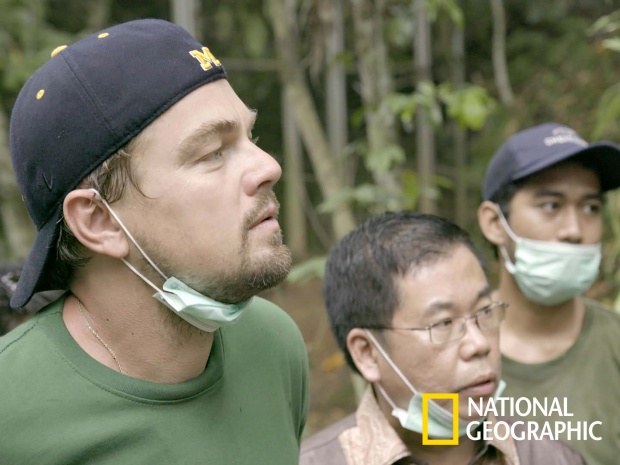  Lifeart Media Festival