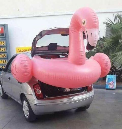 Τα YOLO της Πέμπτης Τα YOLO της Πέμπτης