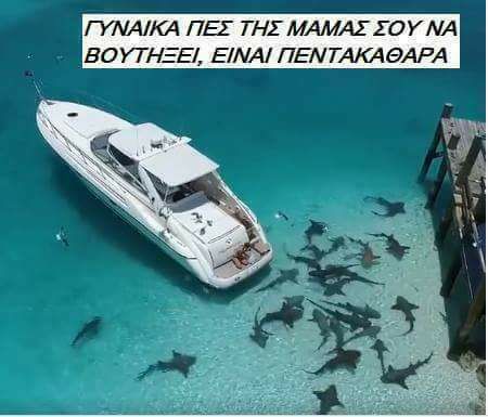 Τα YOLO της Πέμπτης Τα YOLO της Πέμπτης