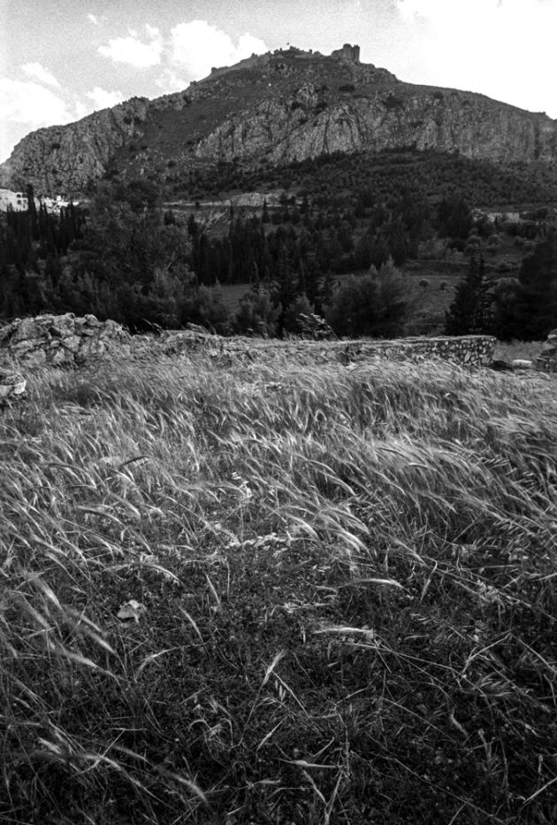 Άργος © Πλάτων Ριβέλλης Ένα νέο καλλιτεχνικό φεστιβάλ με φιλοδοξίες και πελοποννησιακή καταγωγή © Πλάτων Ριβέλλης