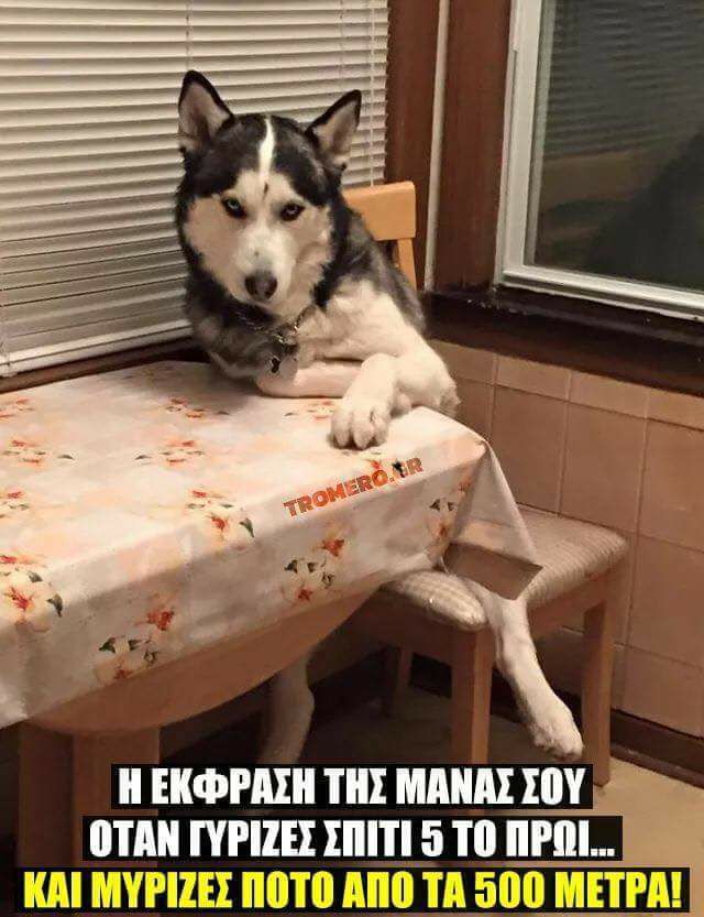 Τα YOLO της Κυριακής