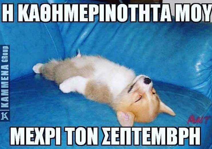 Τα YOLO της Τρίτης