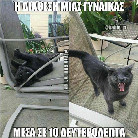 Τα YOLO της Τρίτης