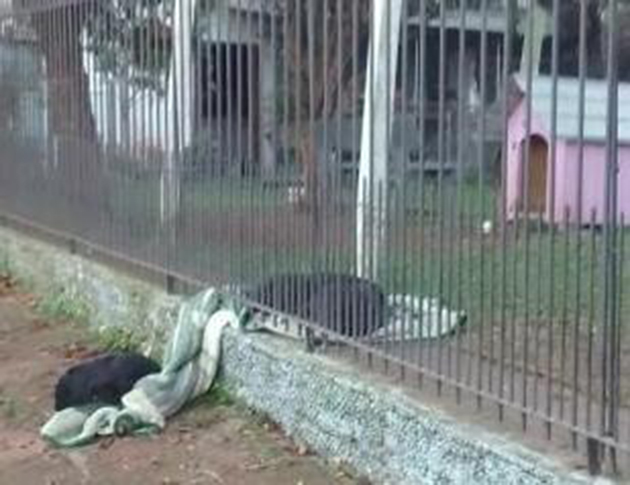 Η Λάνα και η άστεγη φίλη της