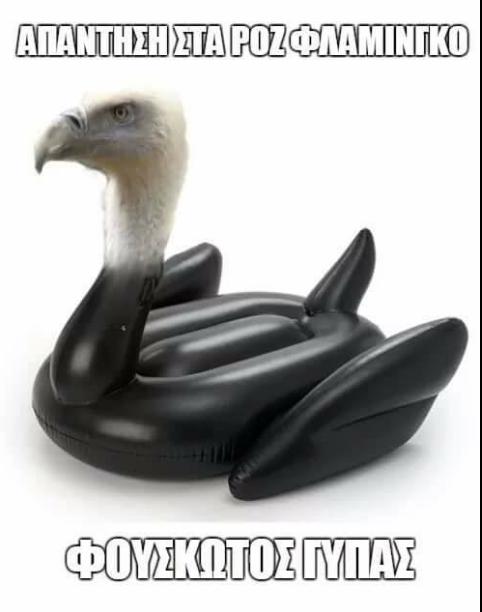 Τα YOLO του Σαββάτου