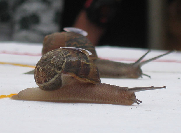 Ο Λάρι κάλυψε τα 30 εκατοστά σε 02.17