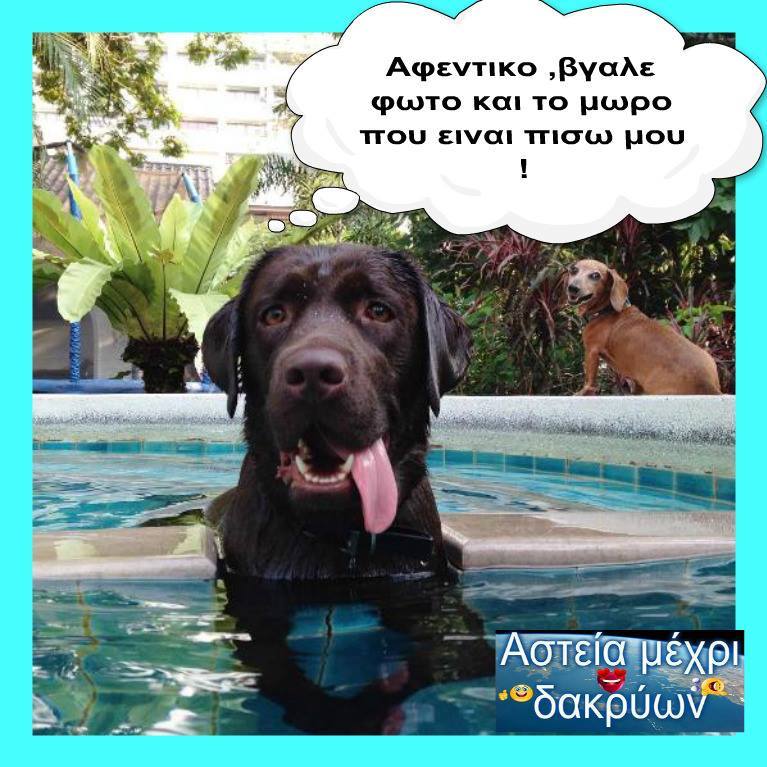 Τα YOLO της Παρασκευής