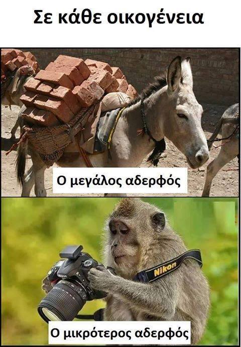 Τα YOLO της Τετάρτης