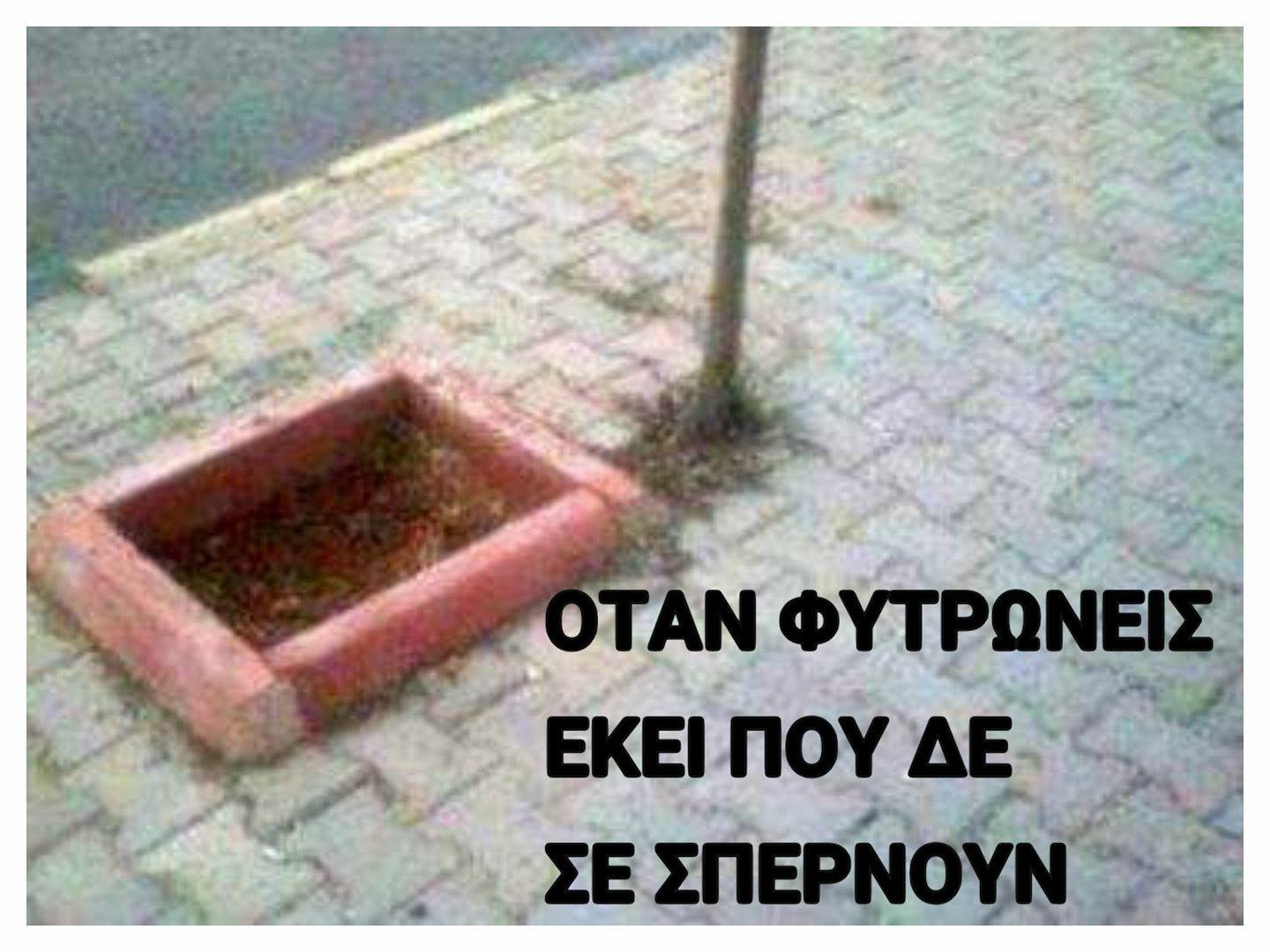Τα YOLO της Παρασκευής