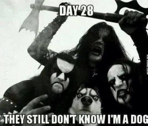 Τα YOLO της Παρασκευής