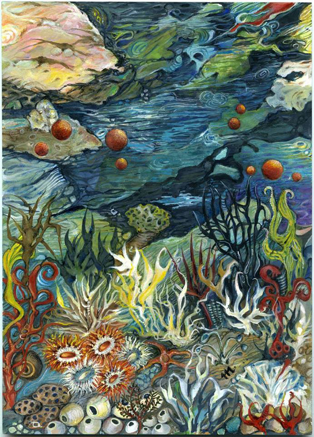 Μαρία Αποστόλου, Θαλάσσιος κήπος