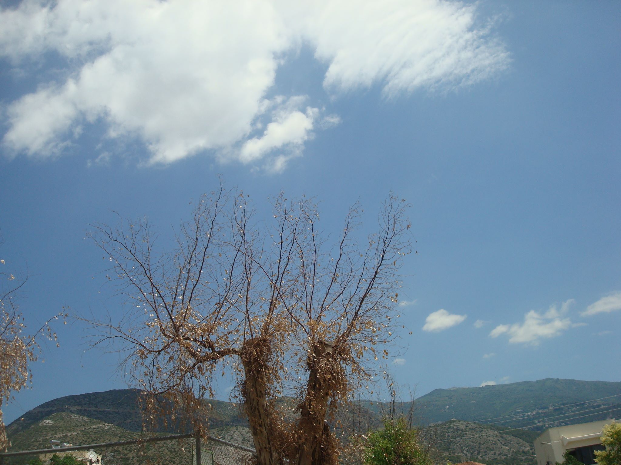 04 © ρουλα μουχτουρη / Βόλος 04 © ρουλα μουχτουρη / Βόλος