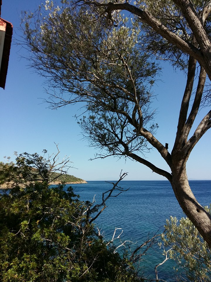 05 © ειρηνη γριβα / Άγιος Ερμογένης, Μυτιλήνη 05 © ειρηνη γριβα / Άγιος Ερμογένης, Μυτιλήνη