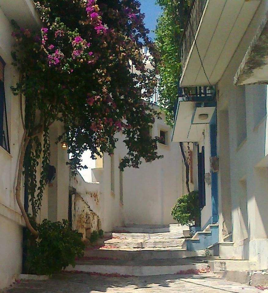 08 © Ελευθερία Βλάχου / Σκόπελος 08 © Ελευθερία Βλάχου / Σκόπελος