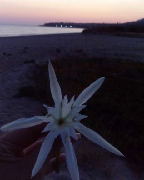 13 © Ζωη Ταγκα / Πρέβεζα 13 © Ζωη Ταγκα / Πρέβεζα