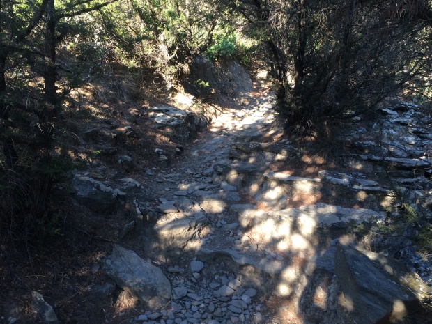 Τρέχοντας στους Φίδους